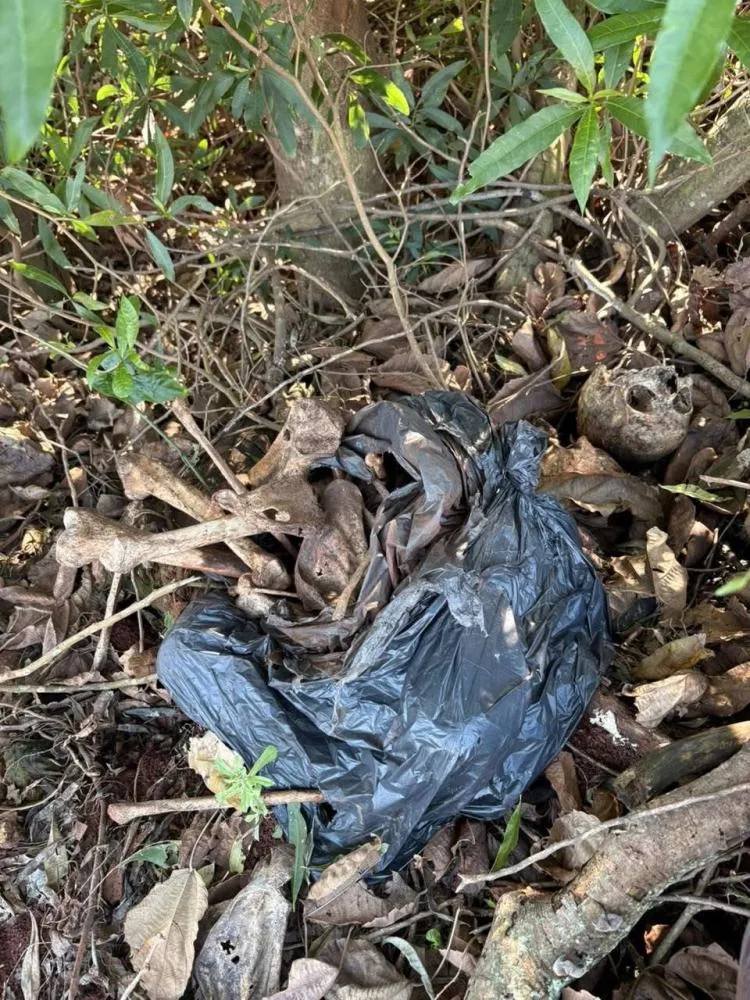 Cinco crânios humanos e restos mortais são encontrados dentro de sacos em propriedade rural de Ibiporã